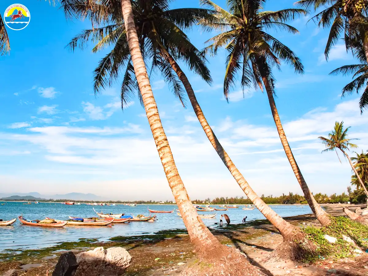 địa điểm du lịch quảng ngãi