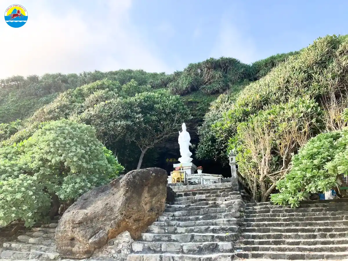 du lịch quảng ngãi​