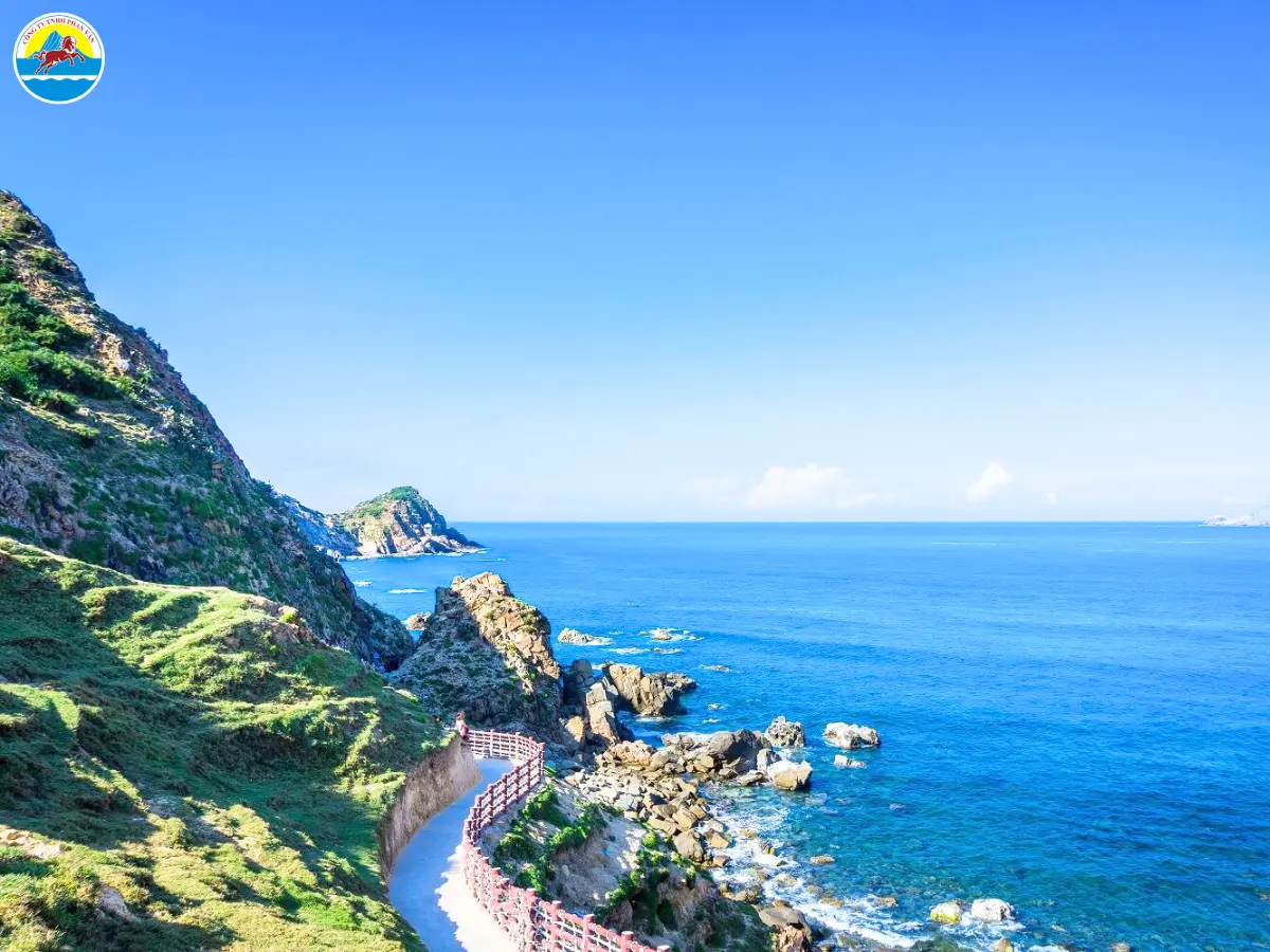 du lịch quy nhơn​