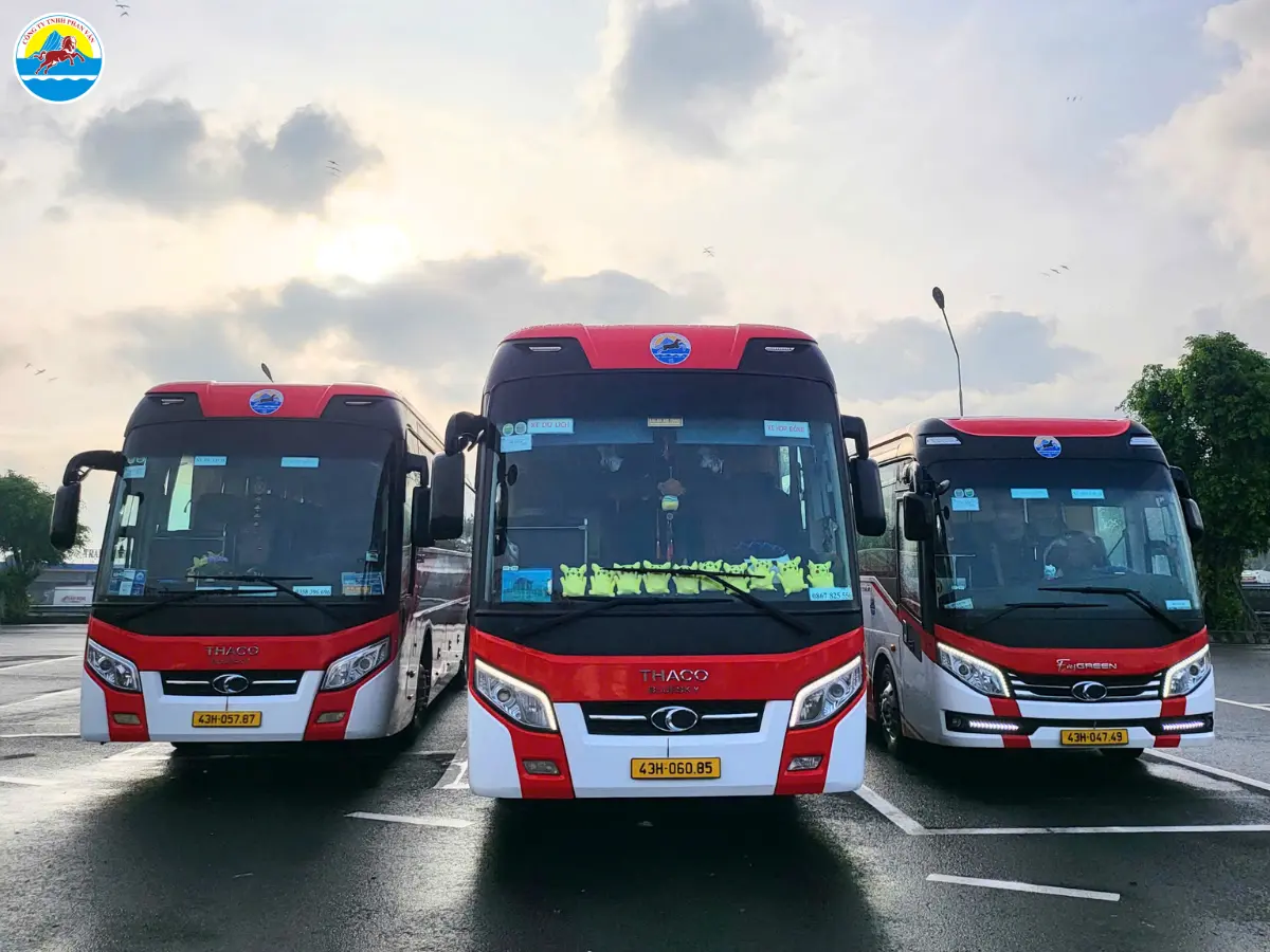 du lịch quy nhơn​