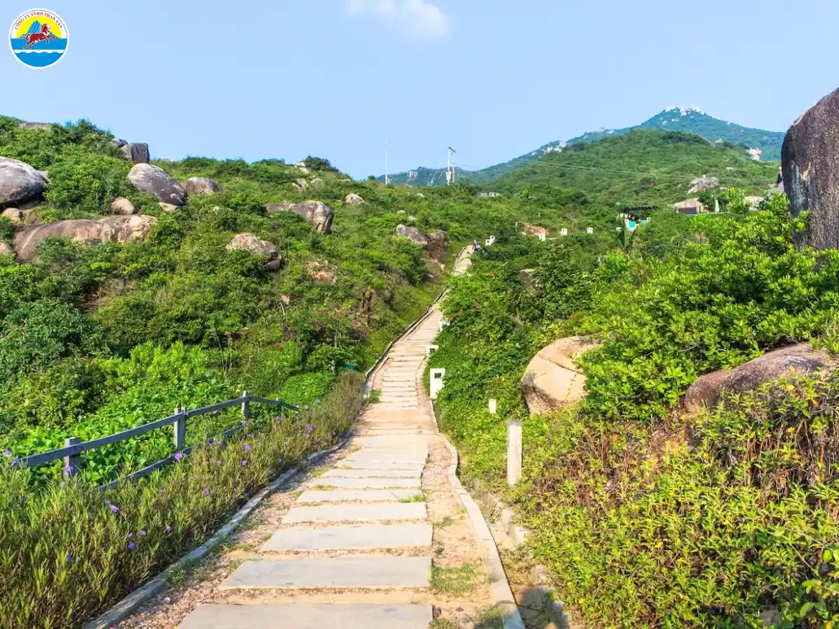 địa điểm du lịch quy nhơn​