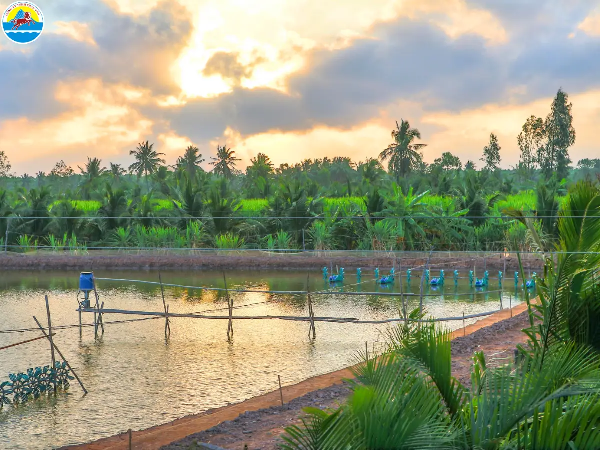 cẩm nang du lịch sóc trăng​