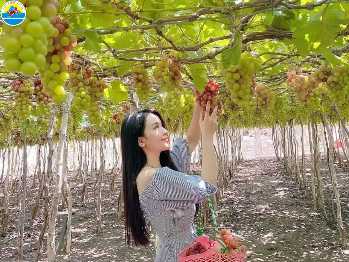 điểm du lịch tây ninh​