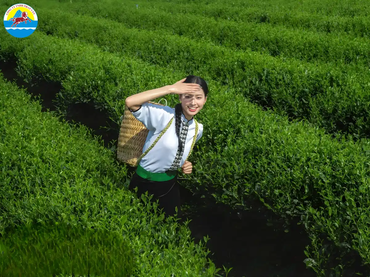 du lịch Thái Nguyên