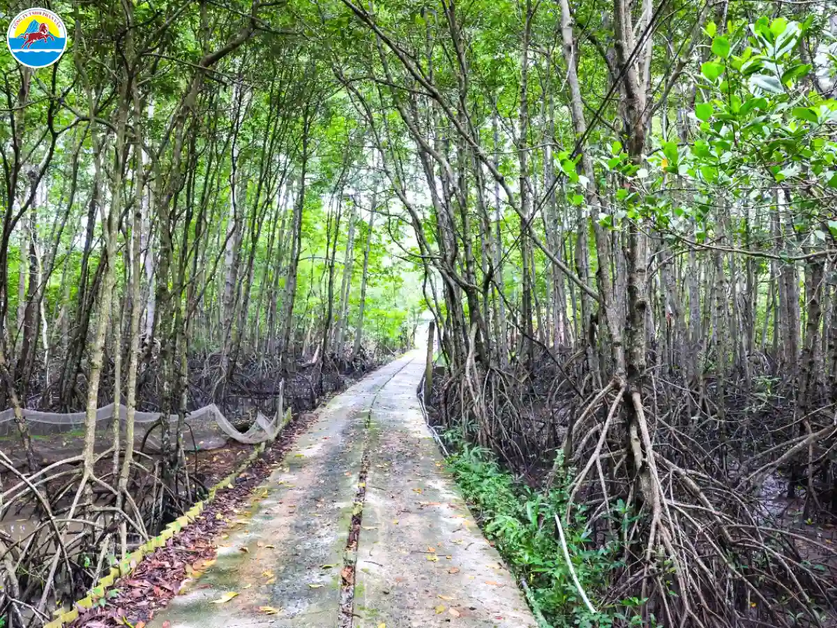 điểm du lịch trà vinh​