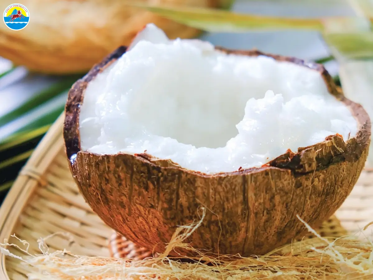 những điểm du lịch ở trà vinh