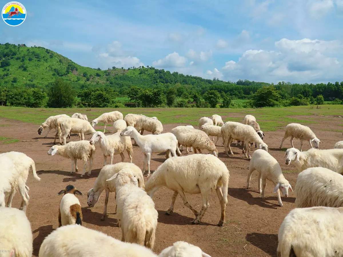 những điểm du lịch đẹp ở vũng tàu