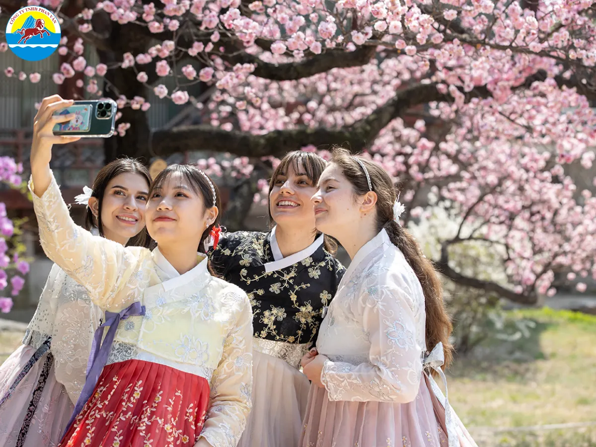 Nếu bạn đi lần đầu, hãy lựa chọn tour trọn gói để thoải mái hơn