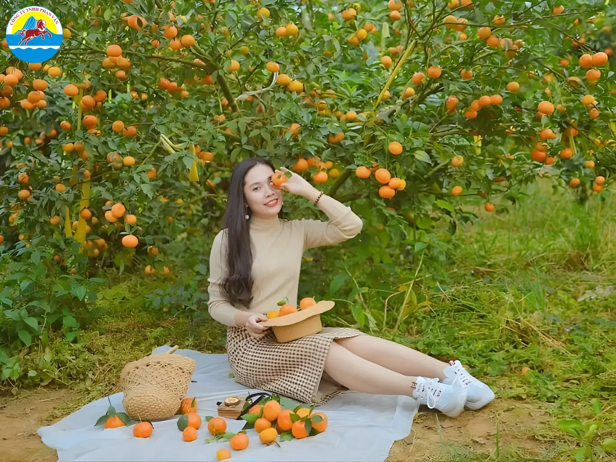 điểm du lịch ở Đông Triều Quảng Ninh