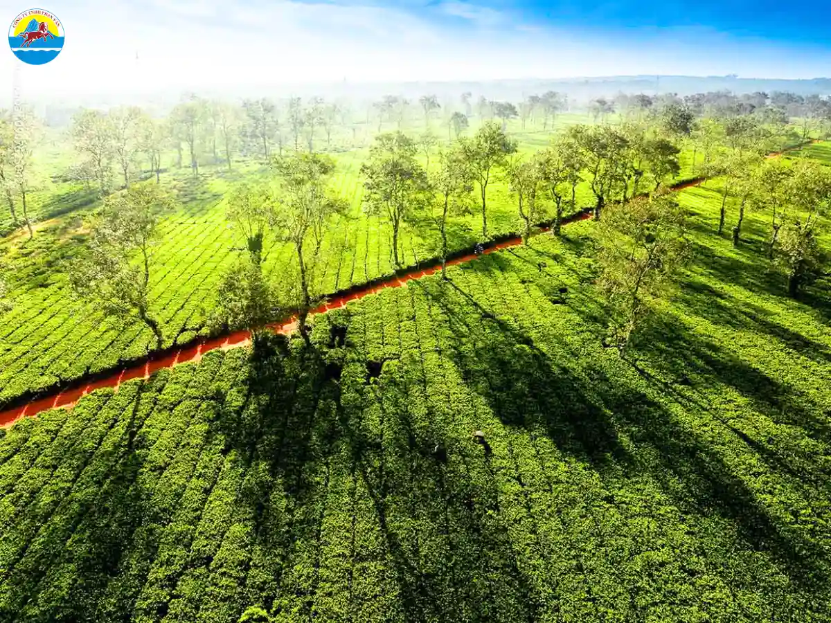 các điểm du lịch pleiku