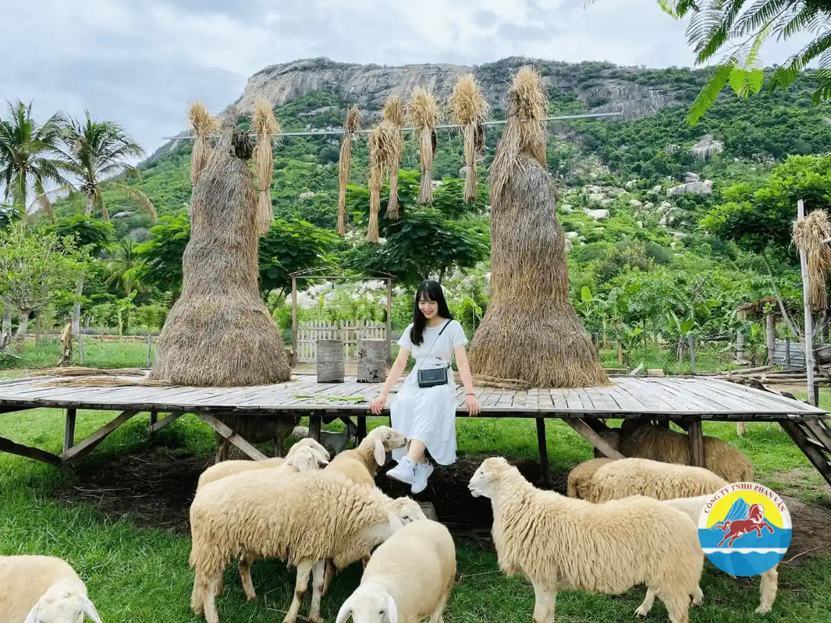 Đồng Cừu Suối Tiên Nha Trang