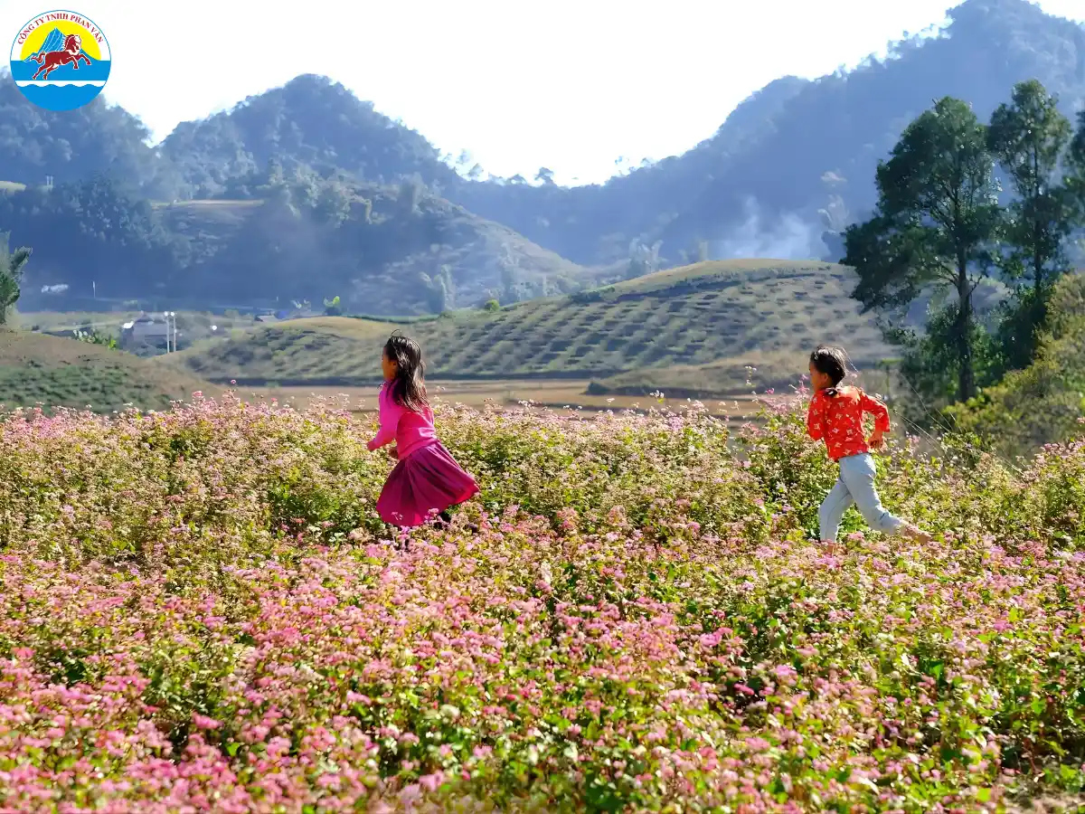 du lịch 2 9 miền Bắc