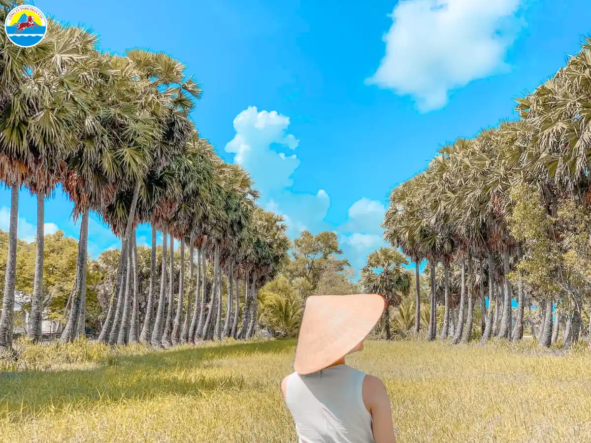 du lịch tự túc an giang​