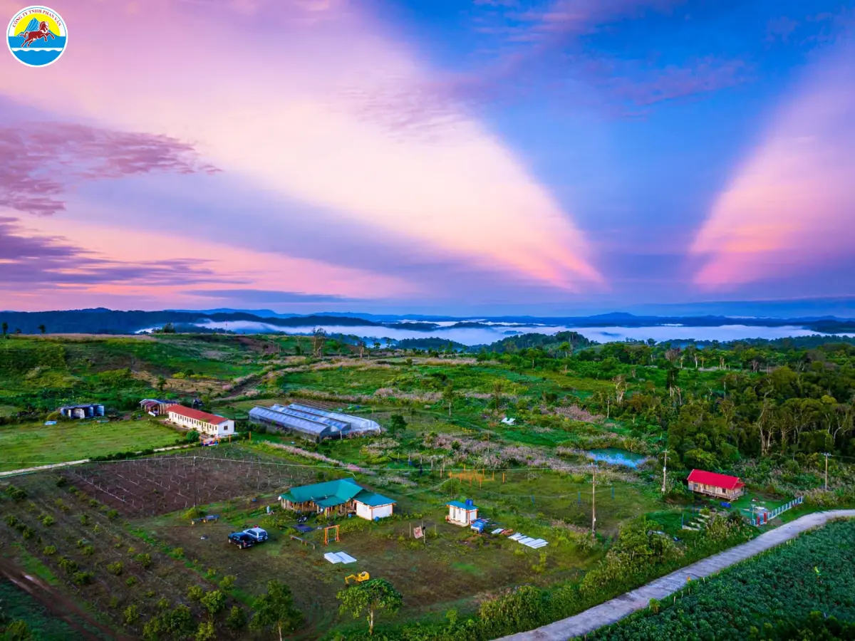 du lịch an lão