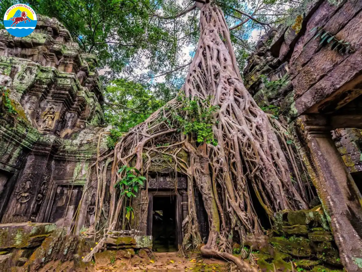 Đền Ta Prohm