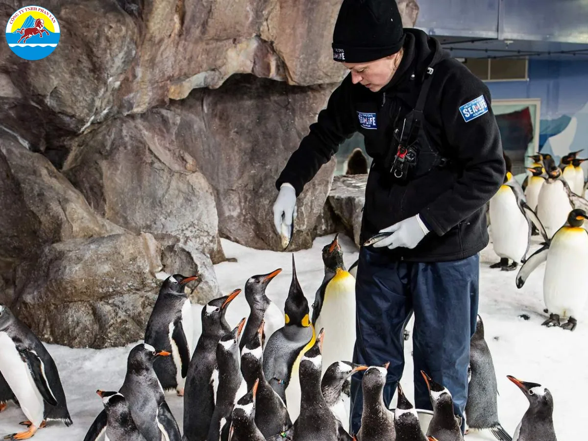 Thủy cung SEA LIFE Kelly Tarlton's