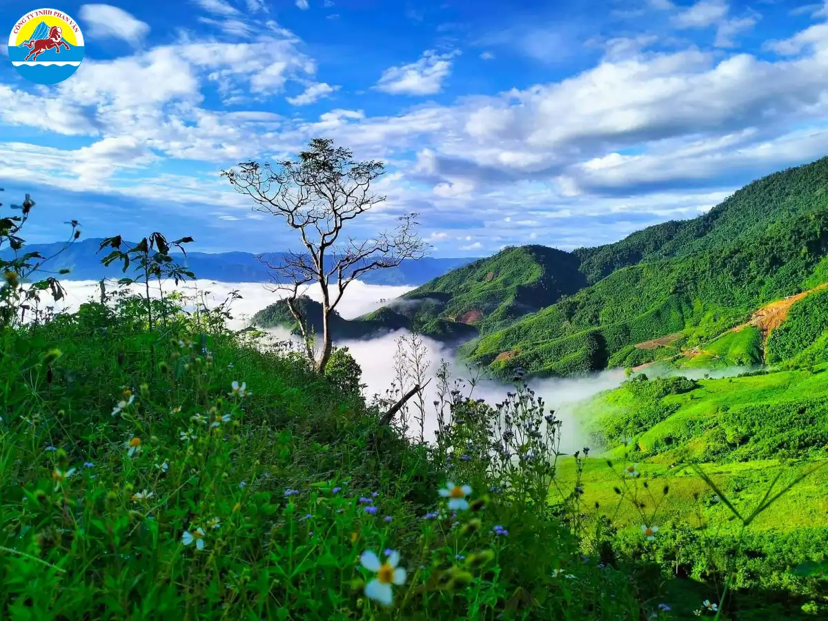 du lịch Ba Tơ Quảng Ngãi