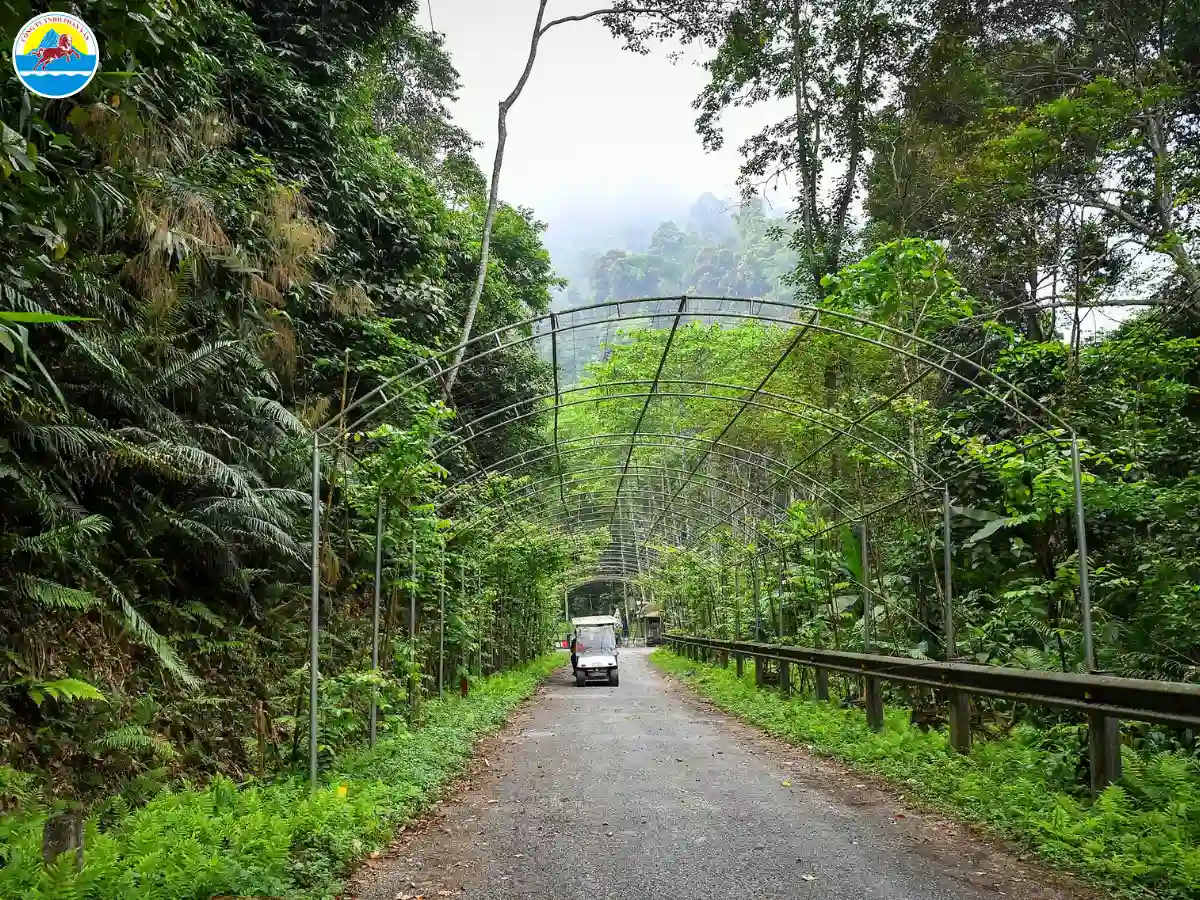 du lịch ba tơ​