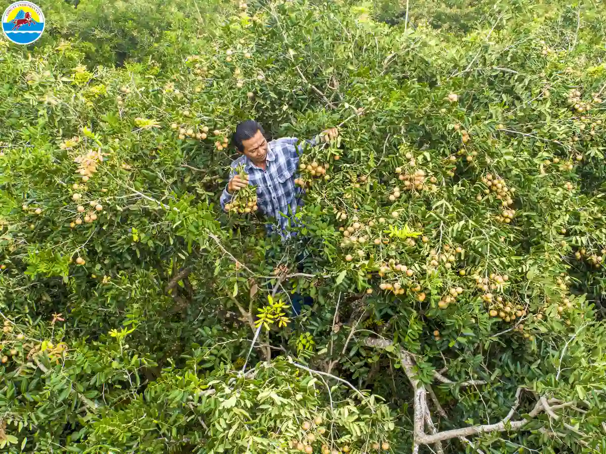 du lịch bạc liêu 1 ngày