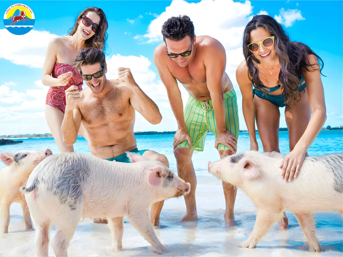 Tour du lịch trọn gói của Phan Văn Travel