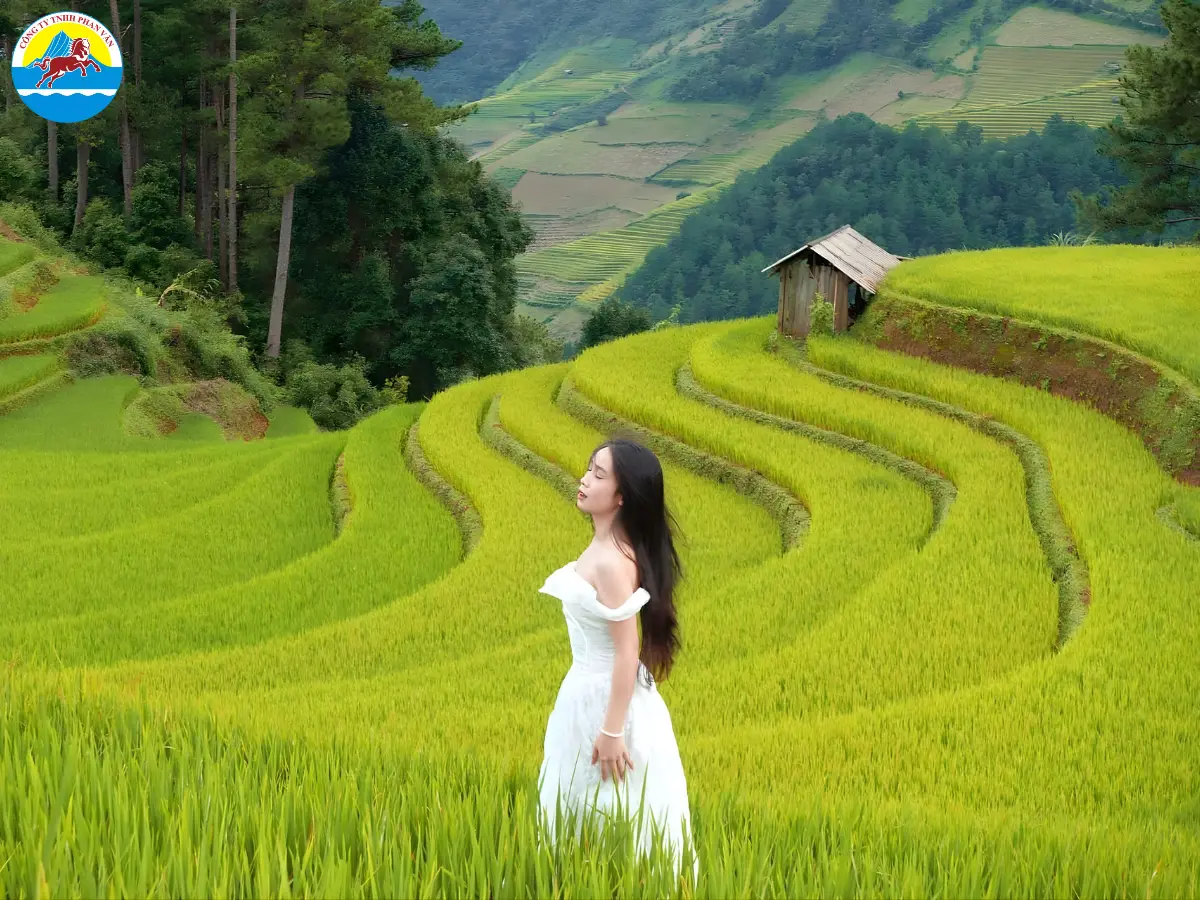 Cánh đồng bậc thang xã Yên Thổ