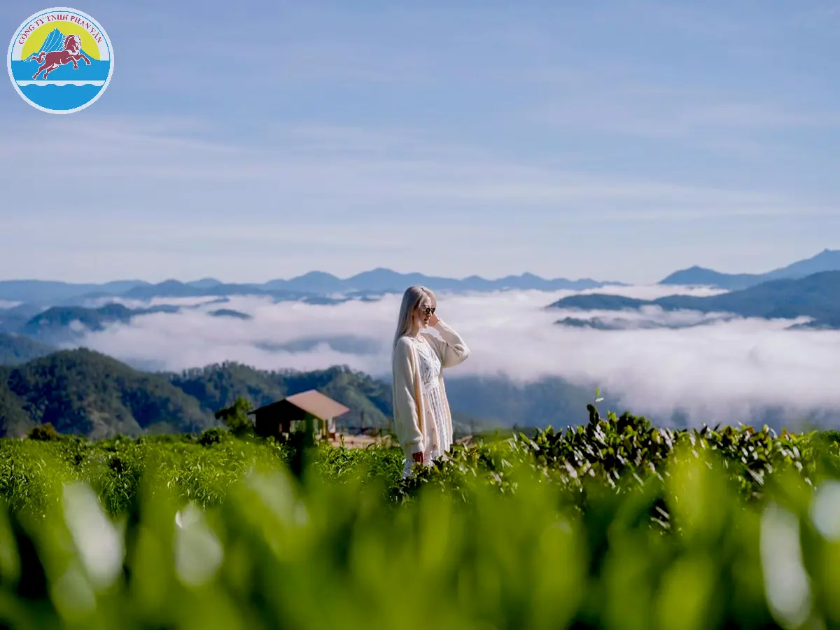 địa điểm du lịch bảo lộc