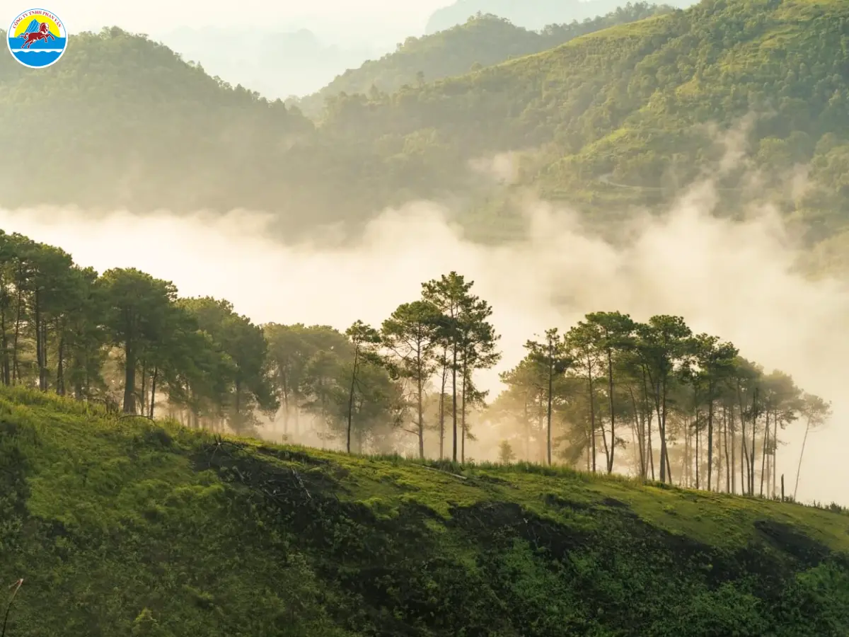 những địa điểm du lịch ở bảo lộc