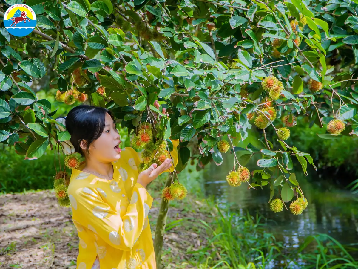 du lịch Bến Tre 1 ngày