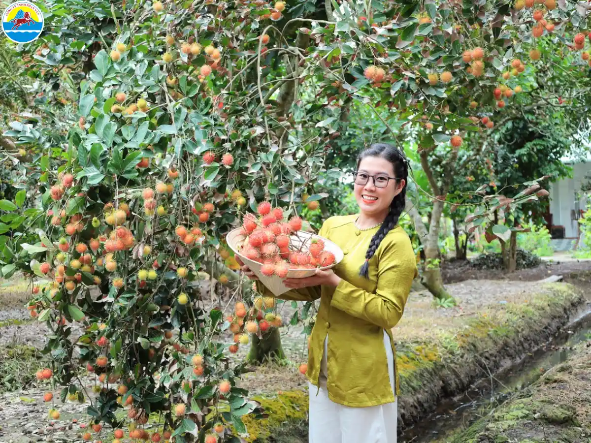 đi du lịch bến tre 1 ngày​