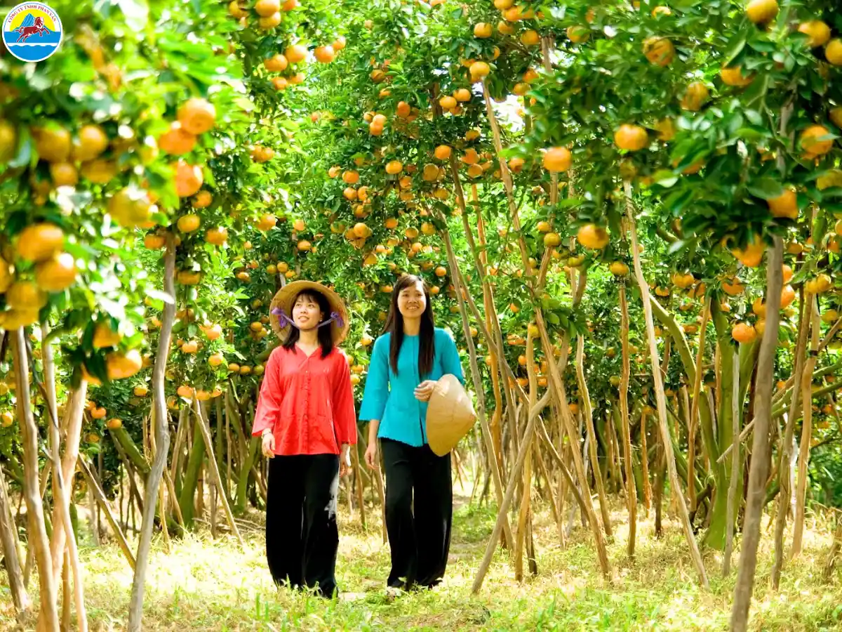 tour du lịch bến tre 1 ngày