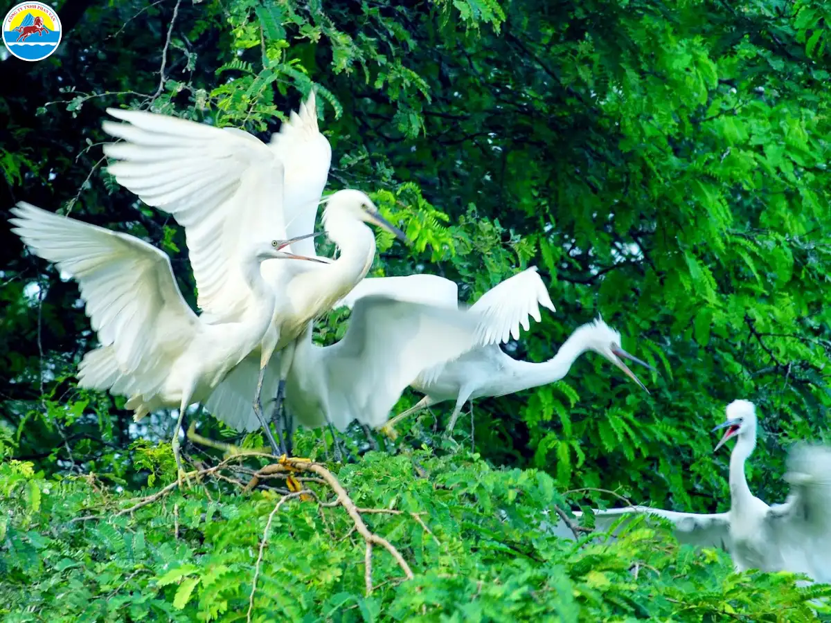 đi du lịch bến tre 1 ngày​