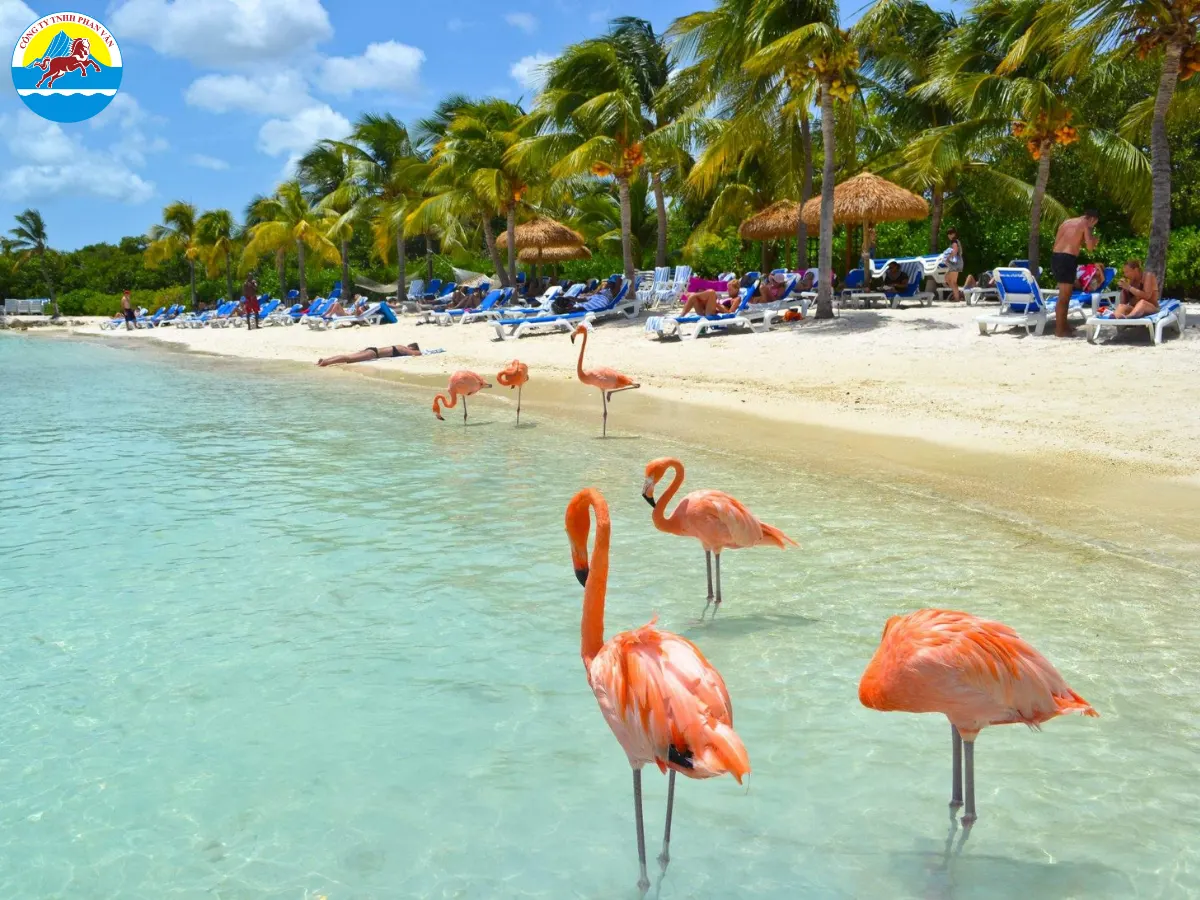 Vùng biển Caribe