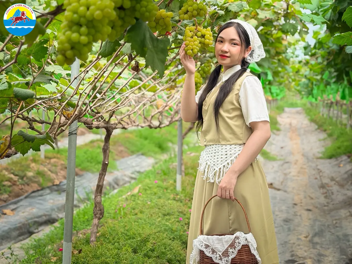 du lịch biển Ninh Thuận