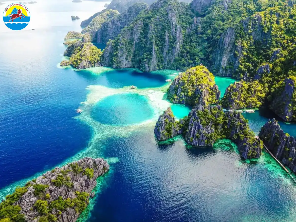 Hệ sinh thái biển nằm trong “Tam giác San hô”