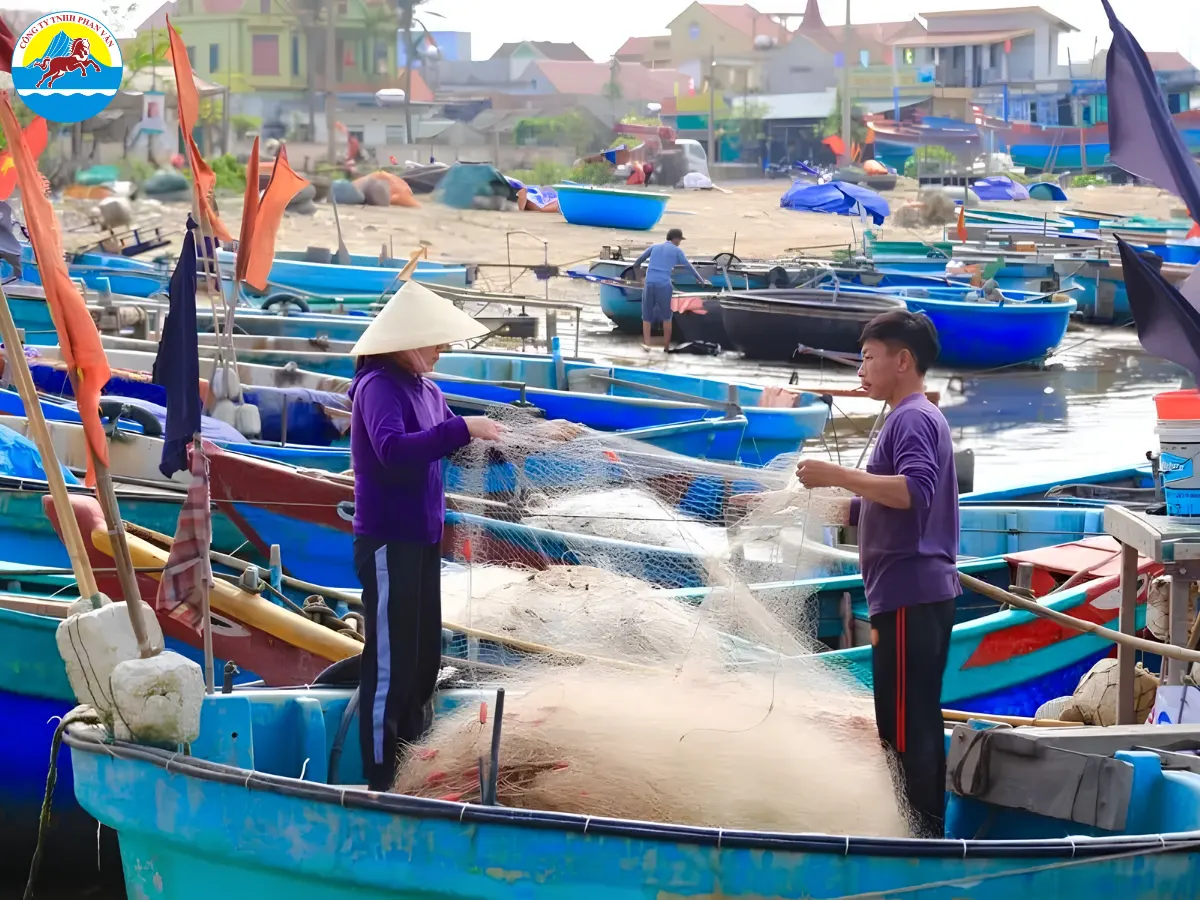 Bến cá làng chài Cảnh Dương Quảng Bình