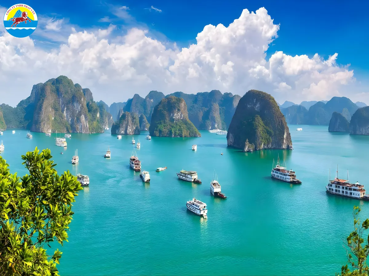 du lịch biển Quảng Ninh