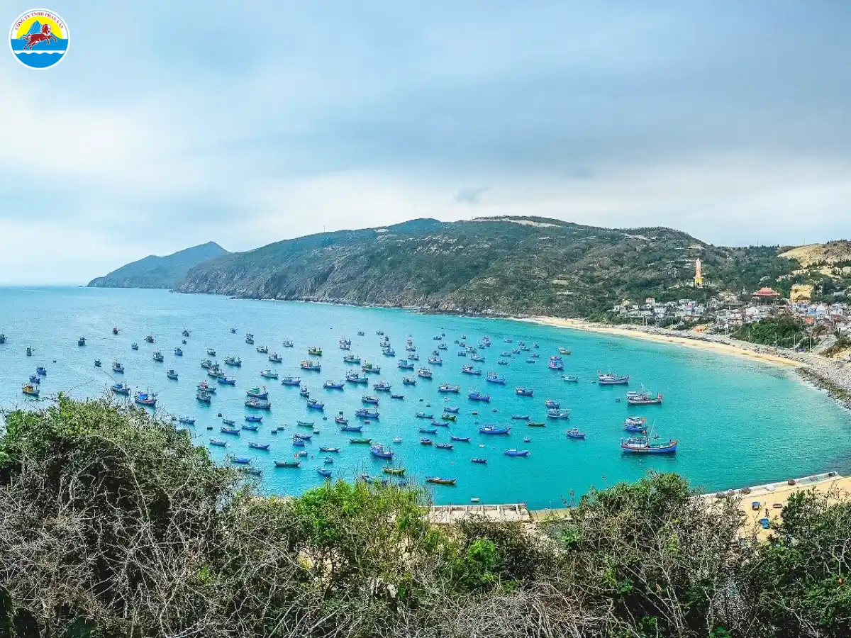 các bãi biển đẹp ở quy nhơn