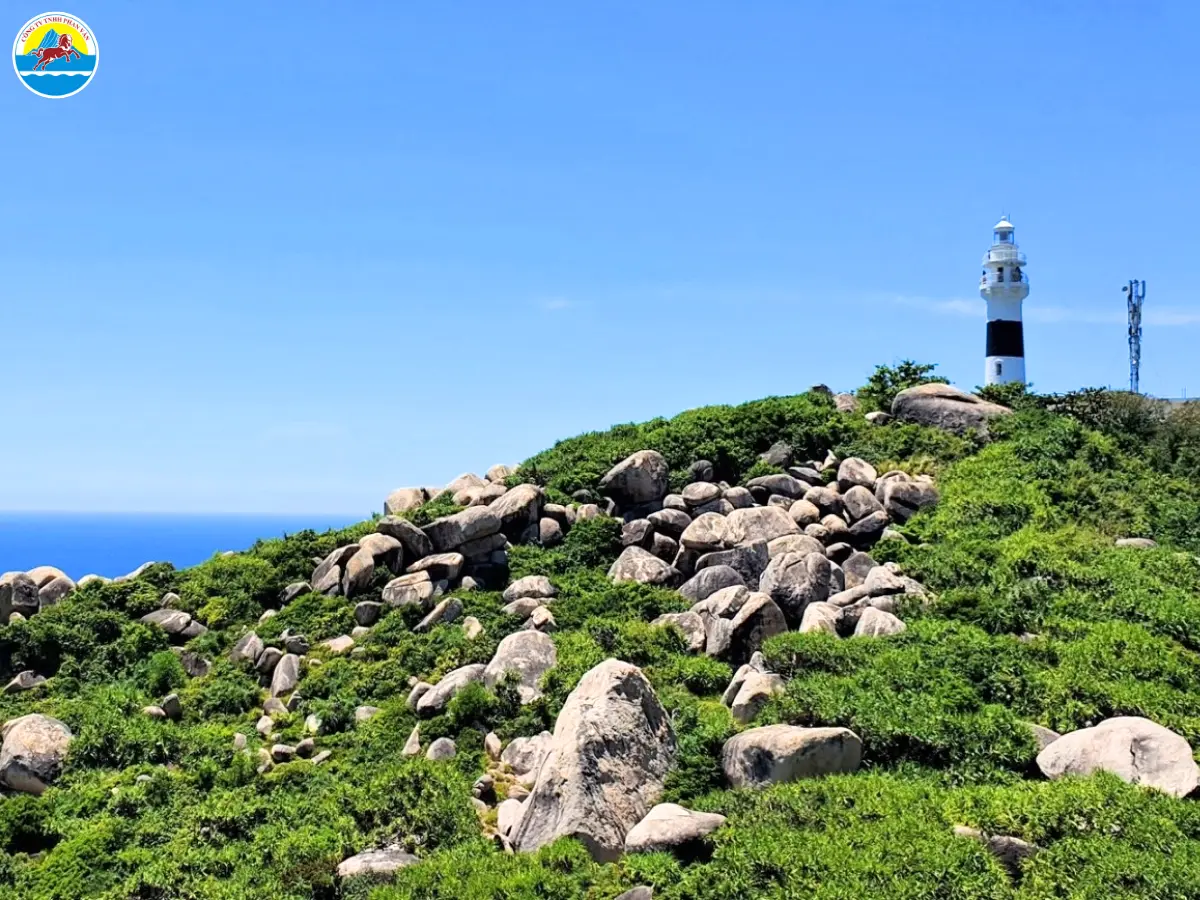 bãi biển đẹp ở quy nhơn​