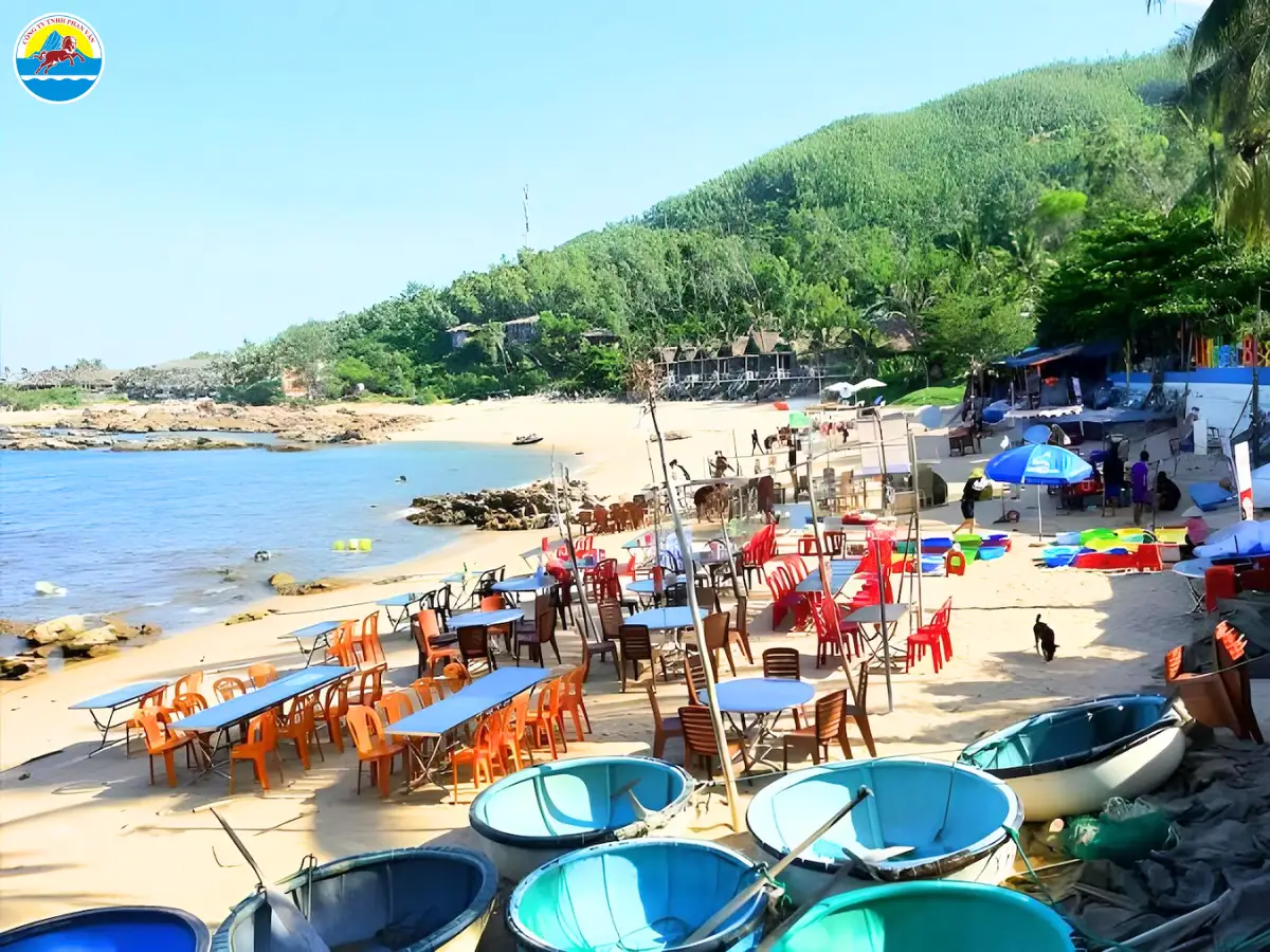 các bãi biển đẹp ở quy nhơn