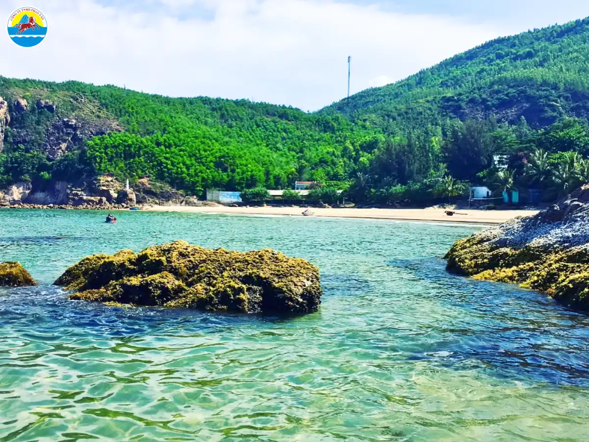 những bãi biển đẹp ở quy nhơn​