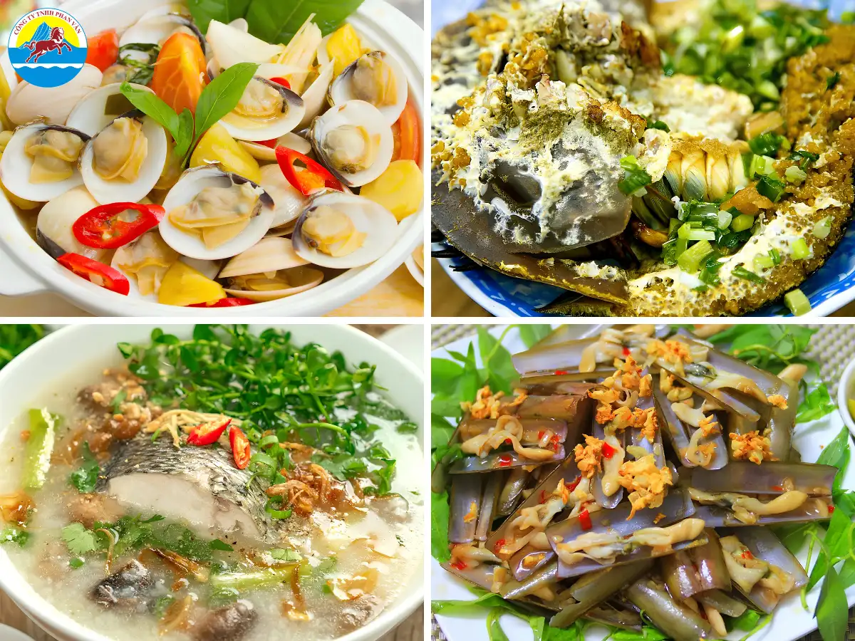 du lịch biển Tân Thành