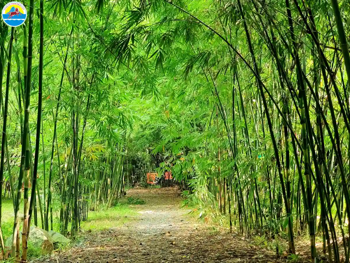 du lịch bình dương 2 ngày 1 đêm