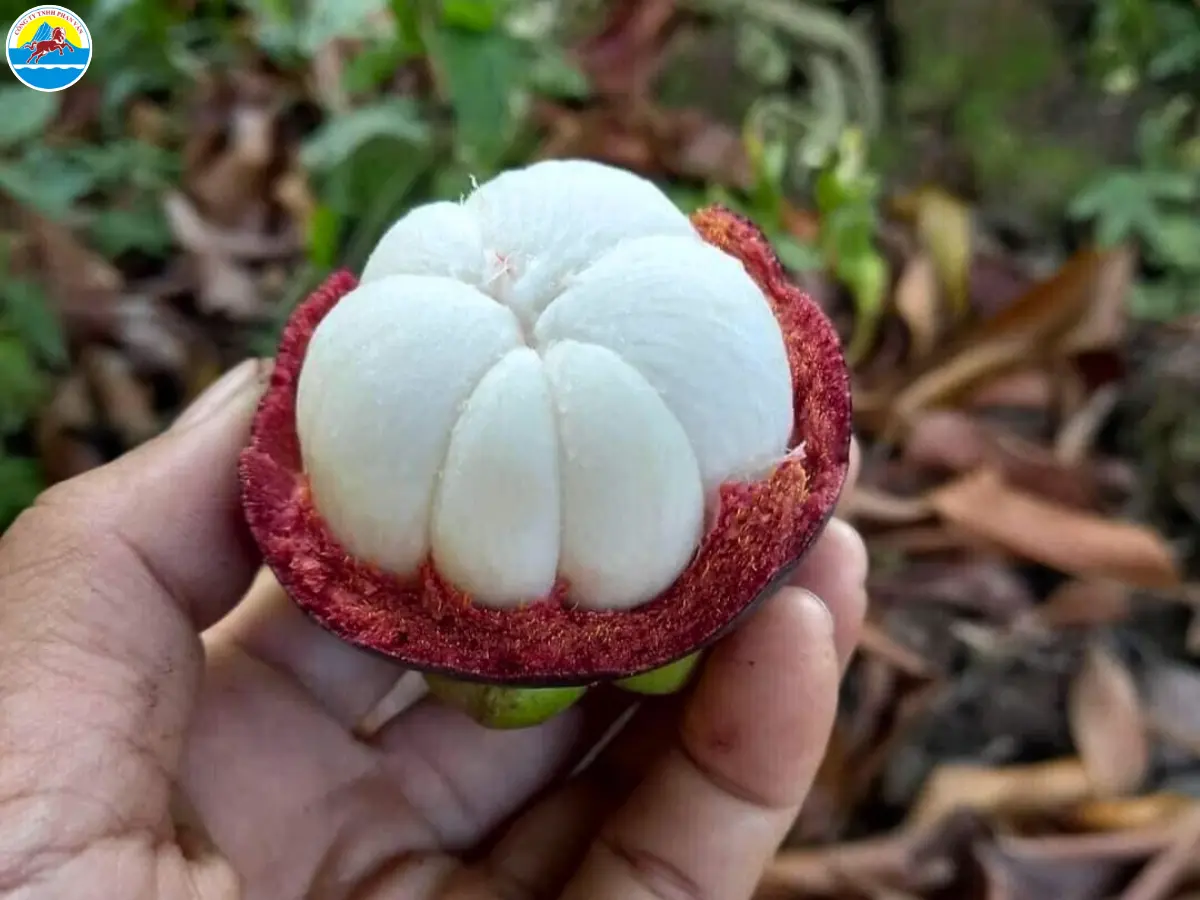 du lịch bình dương 2 ngày 1 đêm​