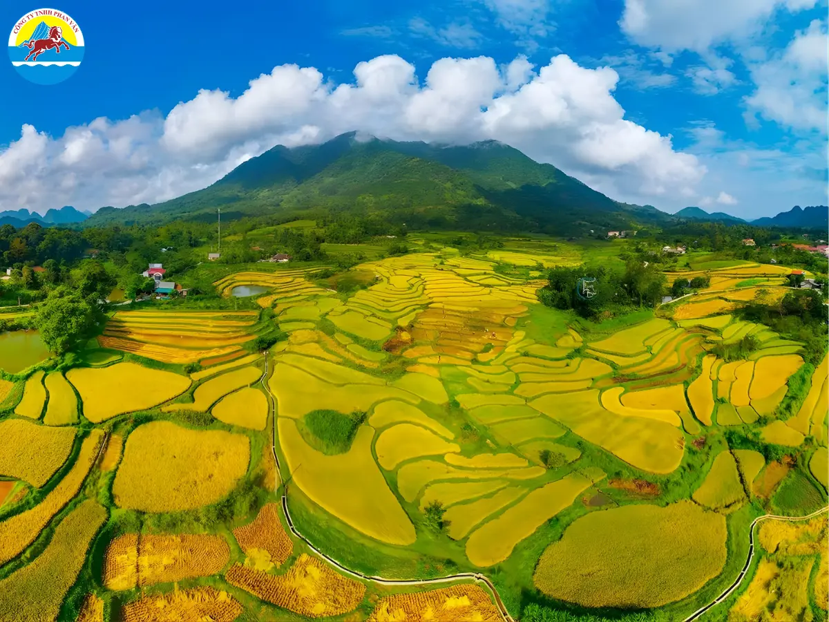 Dừng lại thung lũng Bắc Sơn ngắm lúa vàng