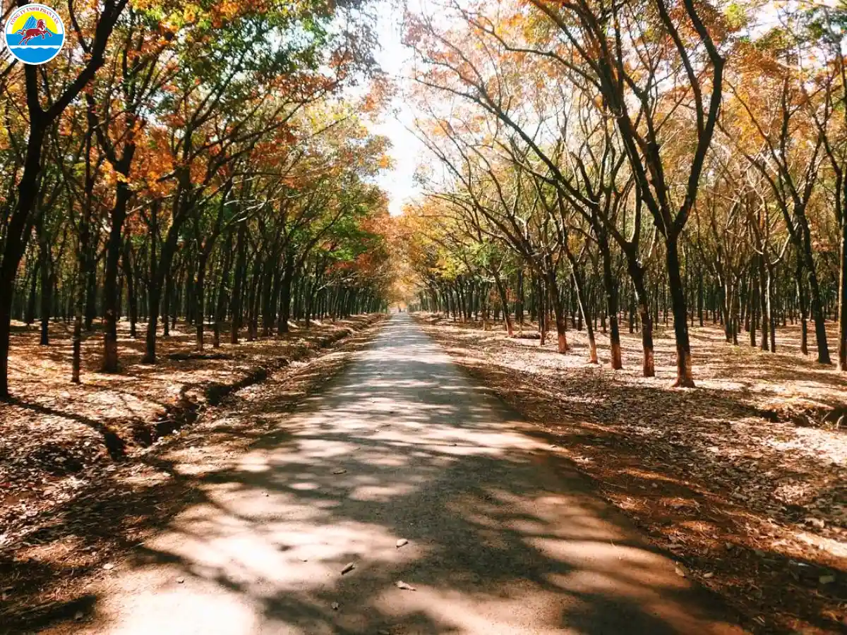 khu du lịch bình phước​