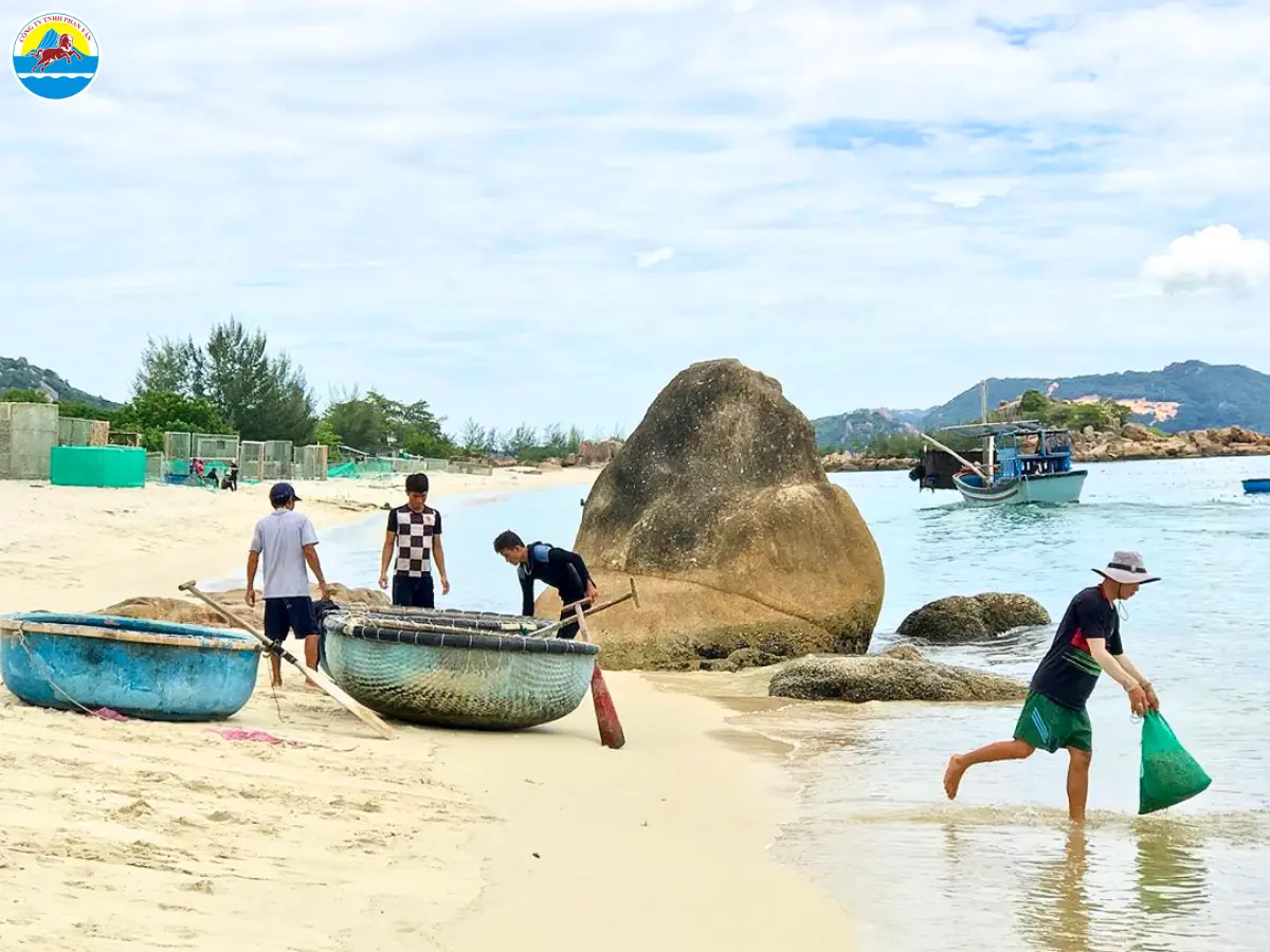 bình tiên ninh thuận​