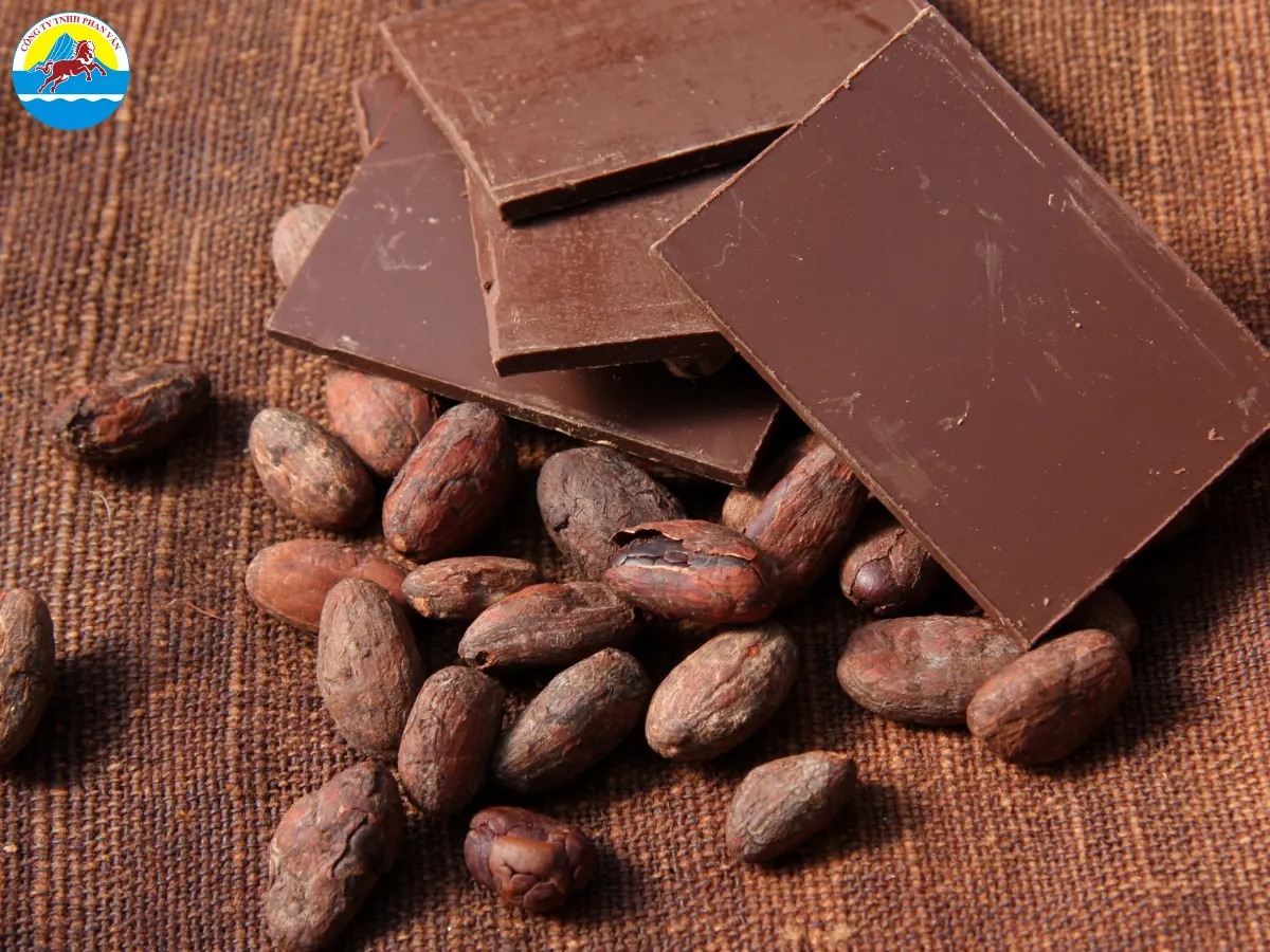 Cacao và socola là đặc sản hàng đầu