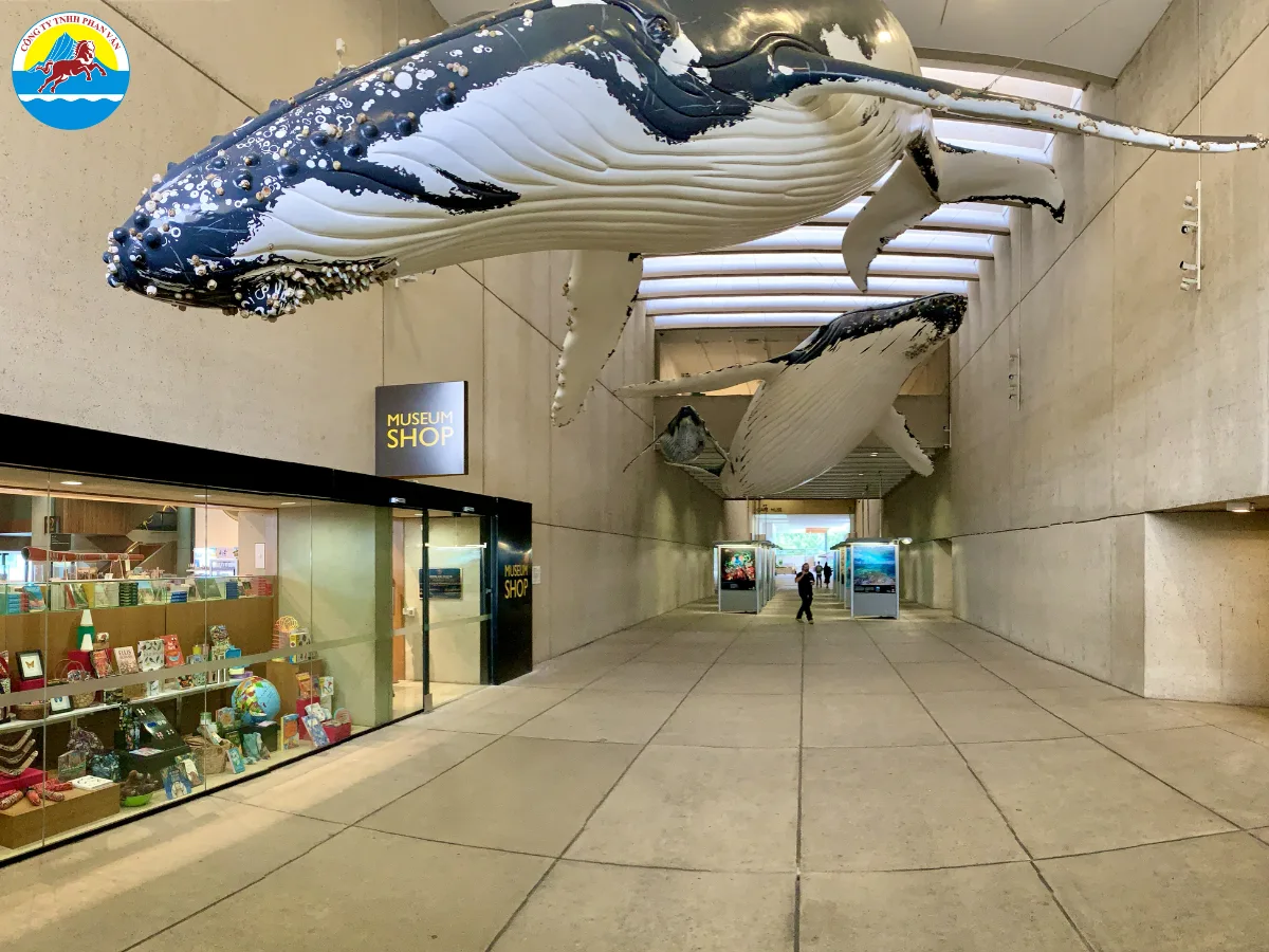 Bảo tàng Queensland