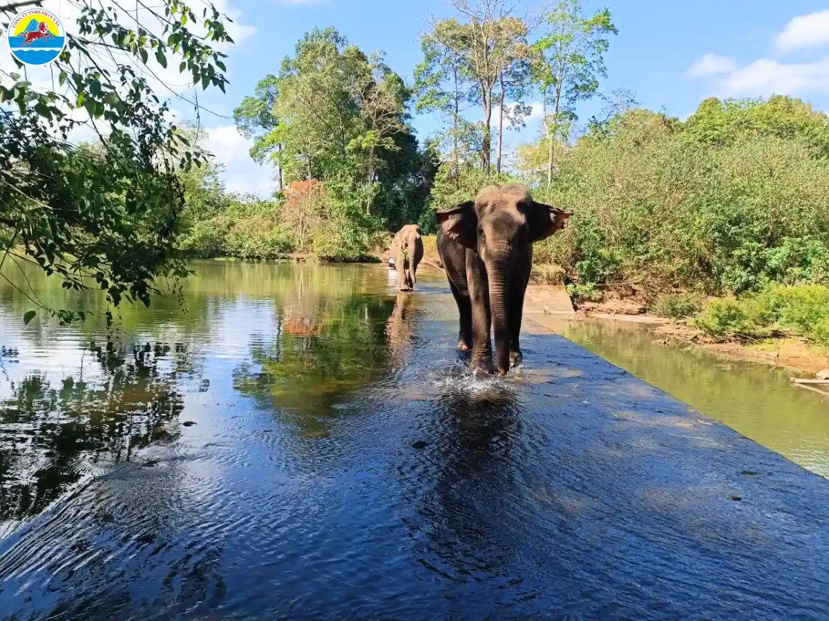 buôn ma thuột du lịch​