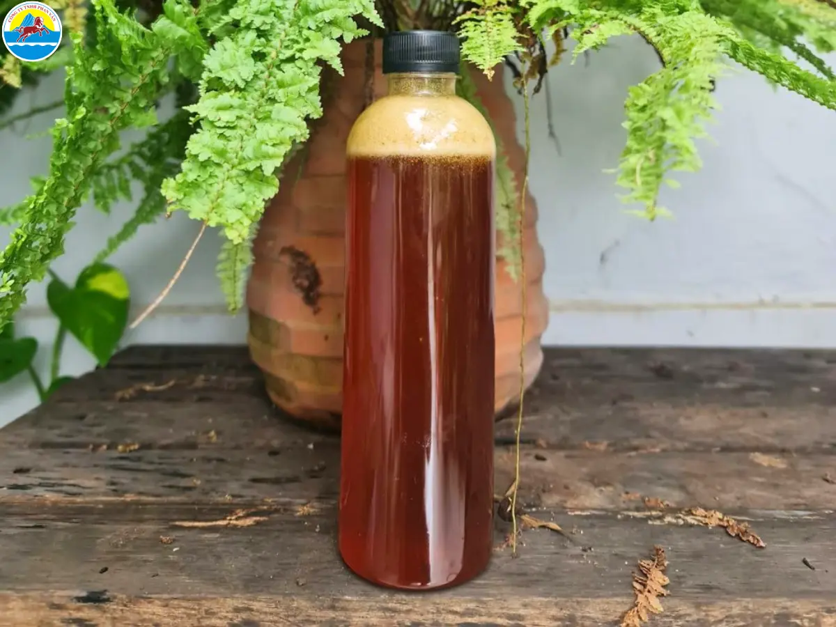 du lịch cà mau 1 ngày​